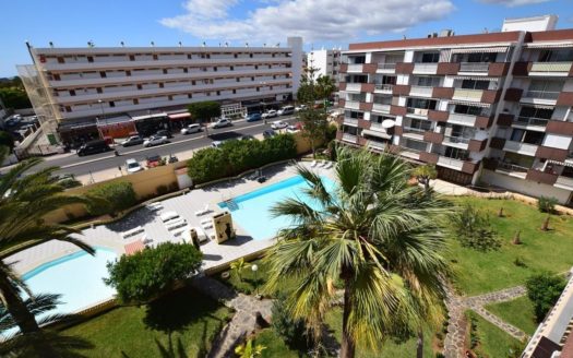 Apartment AP-247/SR